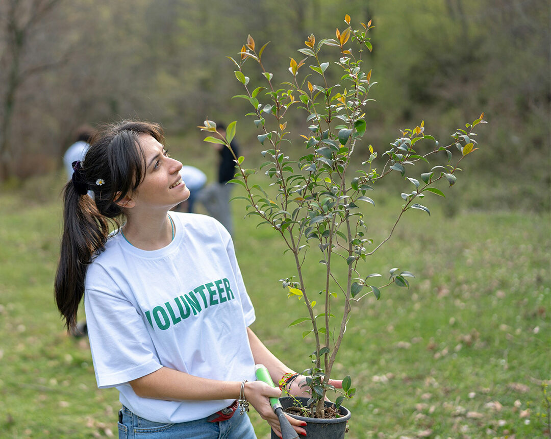 Tree Pledge carousel image 3