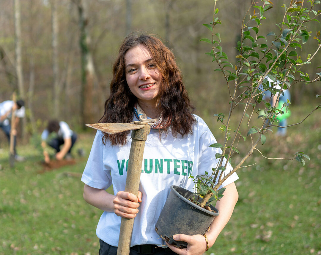 Tree Pledge carousel image 6